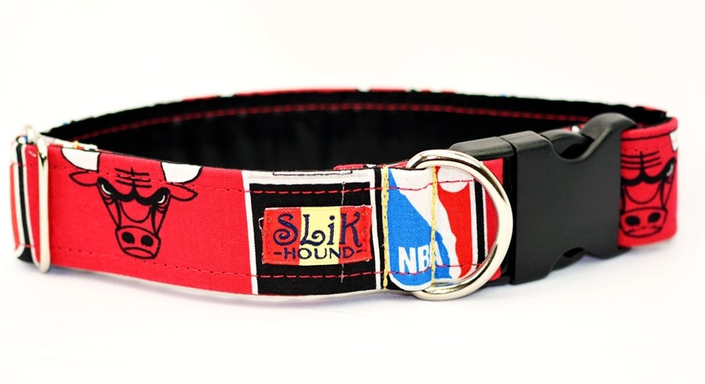 Raptors dog sale collar