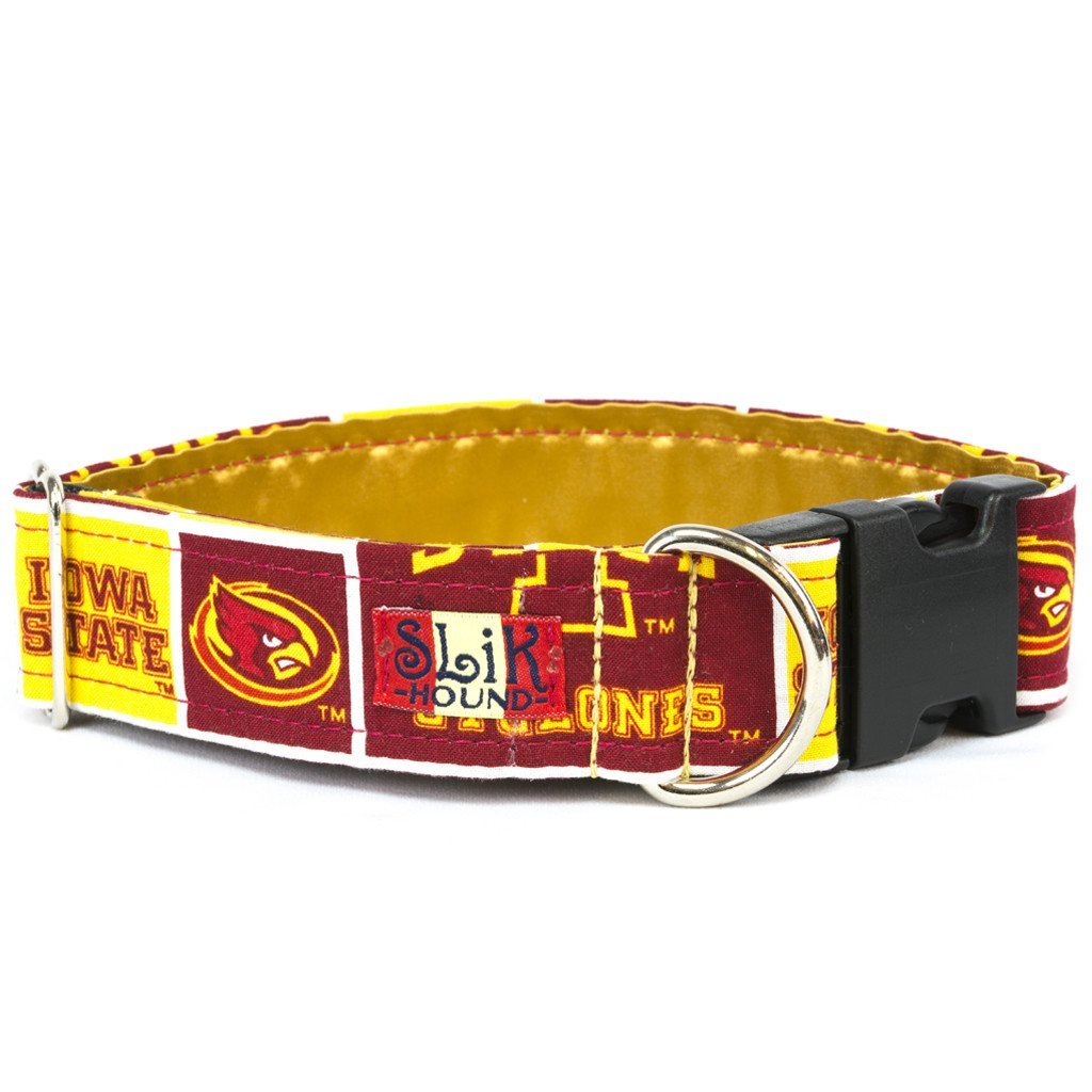 Iowa state hot sale dog collar