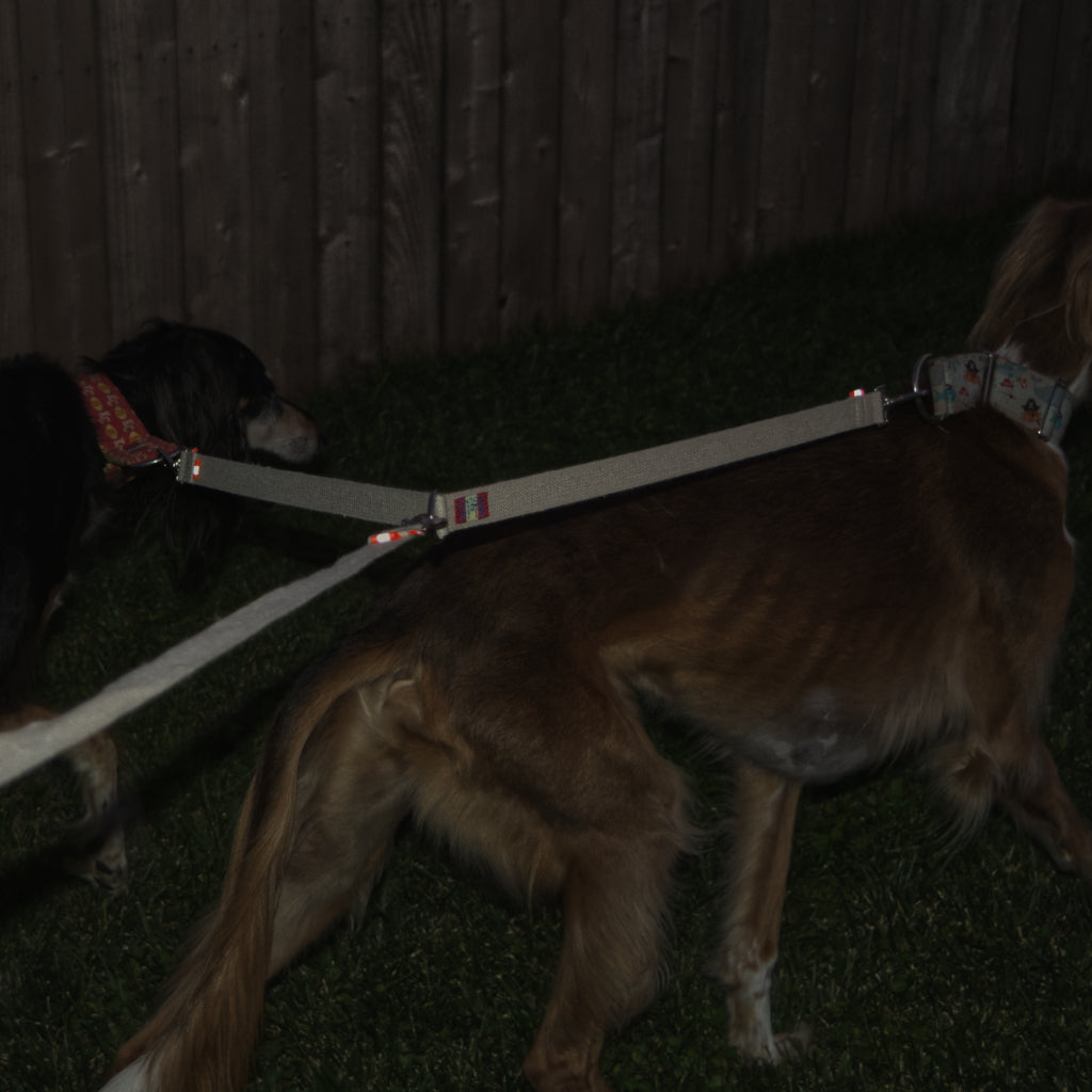 Tan undyed and nature hemp Canva leash splitter for dogs with fluorescent orange reflective tabs at all ends, yellow kevlar stitching and shiny silver metal hardware. pictured in low light at night to showcase the shine reflective tabs at all ends