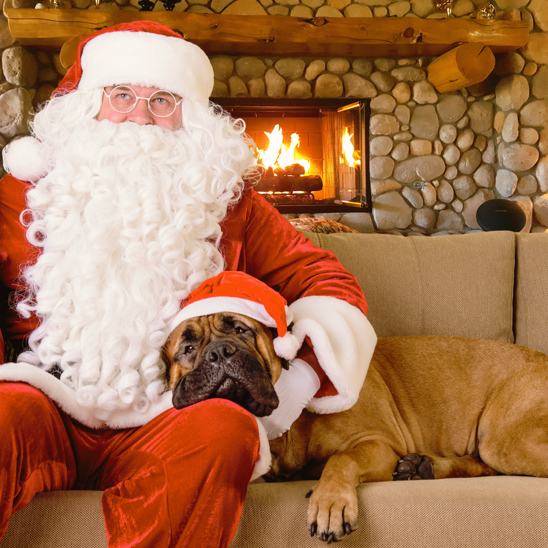 Santa Claus in red suit with white beard petting large dog cream and black dog wearing Christmas collars by SLiK Hound with a fireplace of stone in the background of Santas cabin.