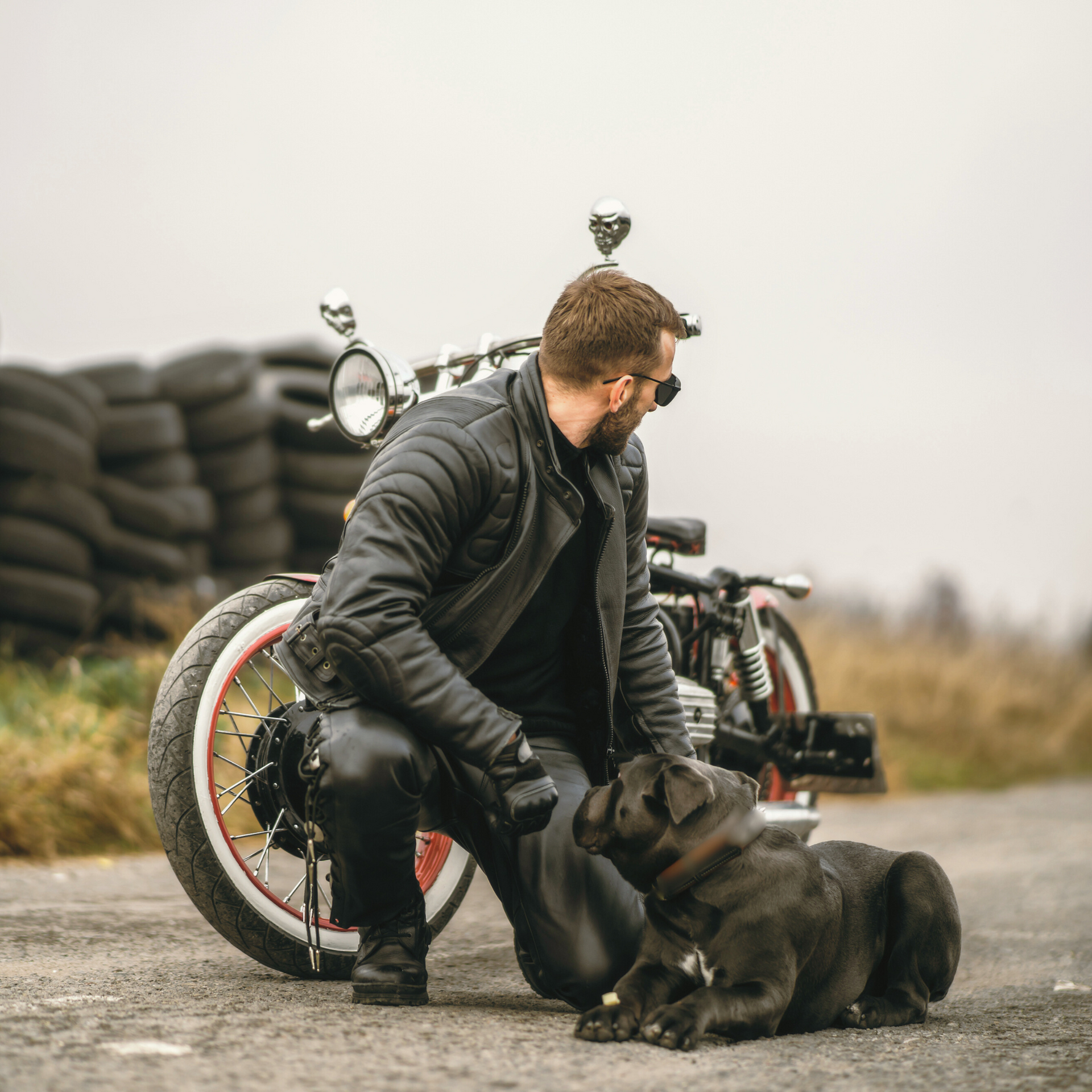 man wearing black leather outfit kneeling next to Harley motorcycle petting his black dog as they both look off into the distance at a motor bike track. Asphalt and stacks of black tires in the background with a grey overcast sky overhead.