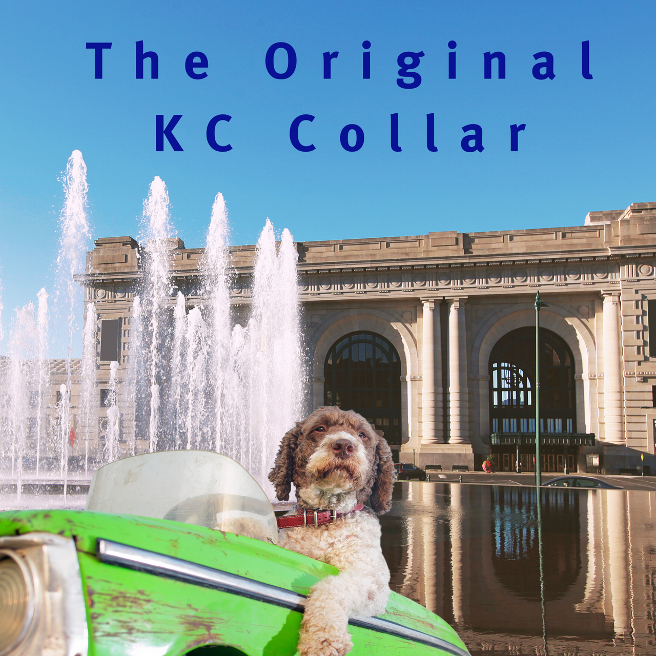 Kansas City Dog Collars Made by SLiK Hound KC