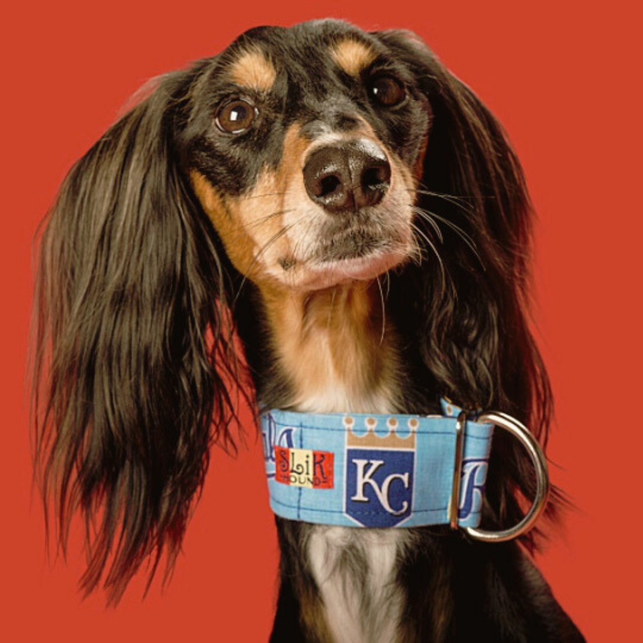 Team & Character Themed Collars