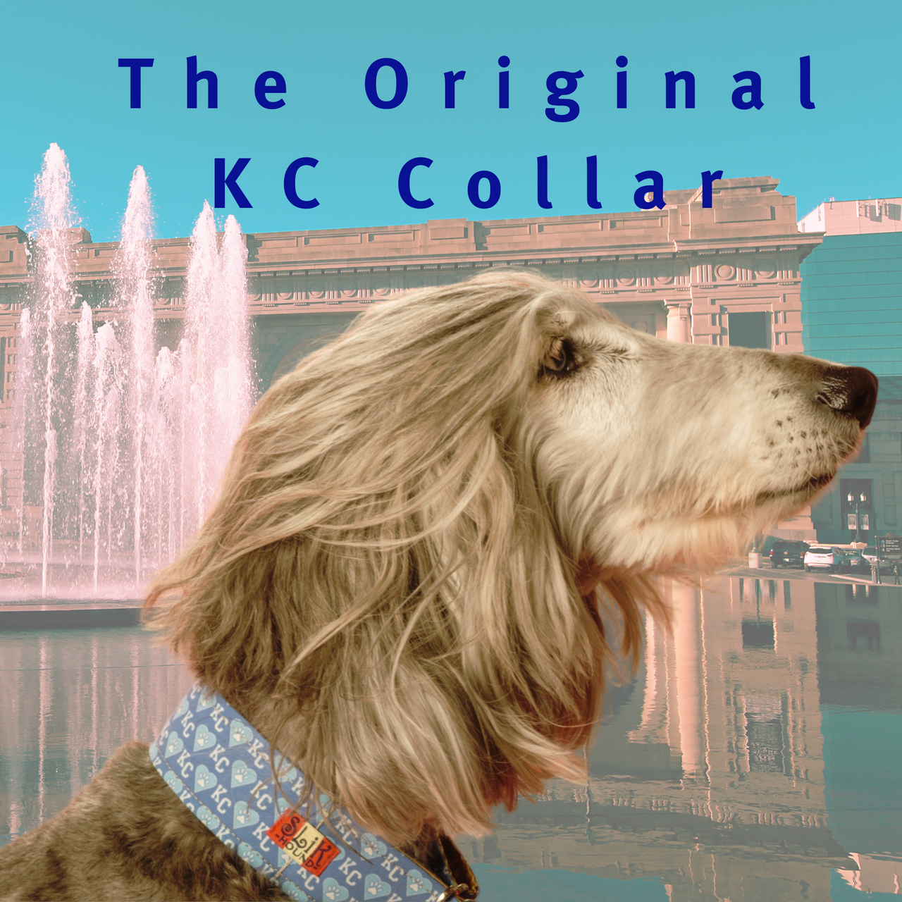 Grey afghan hound Dog wearing a blue KC Heart collar with 'The Original KC Collar' text in front of a fountain at union station in Kansas City with a clear blue sky.