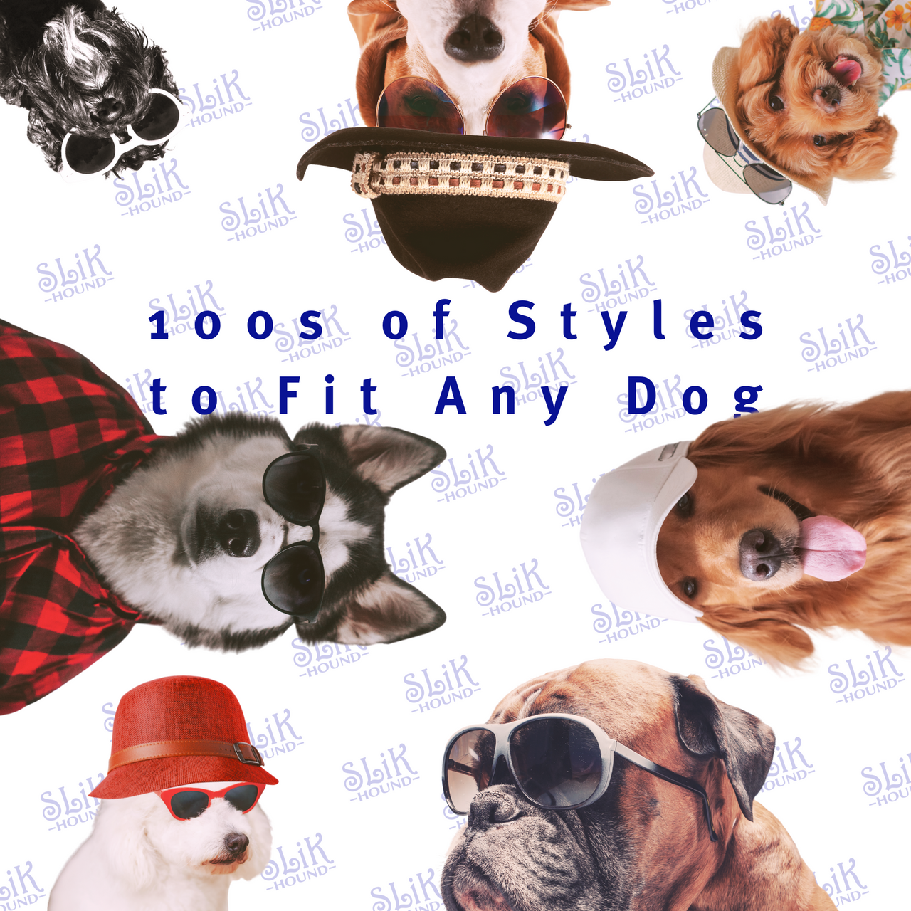 Collage of dogs of different breeds, sizes, and colors wearing various accessories including sun glasses and cowboy hats, collars, and leashes, and text that says 100s of styles to fit any dog. With a white backdrop with the SLiK Hound logo repeating blue.