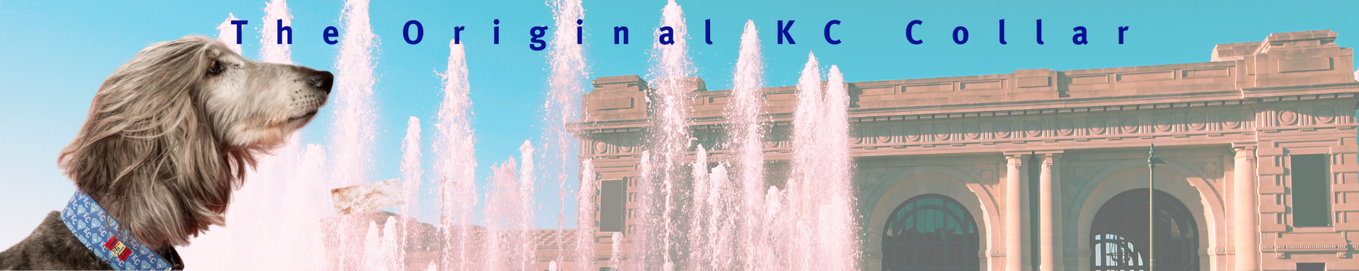 Grey afghan hound Dog wearing a blue KC Heart collar with 'The Original KC Collar' text in front of a fountain at union station in Kansas City with a clear blue sky.
