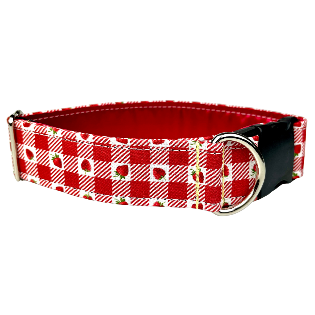 Red and white checkered strawberry dog and cat collar by SLiK Hound on a white background