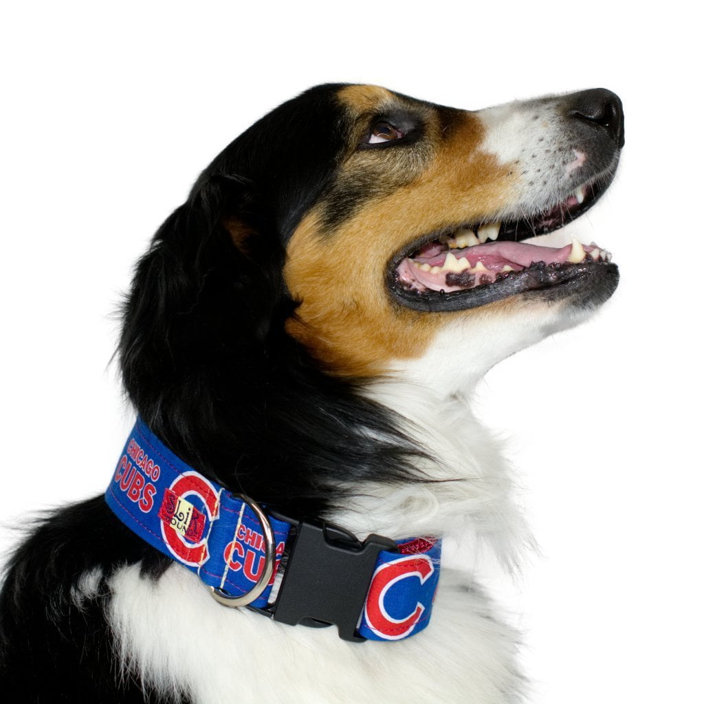 Cubs sales dog collar