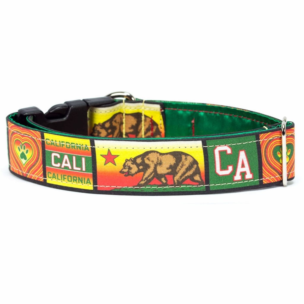 California HomeDog