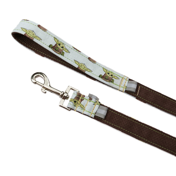 Character Themed Matching Leash