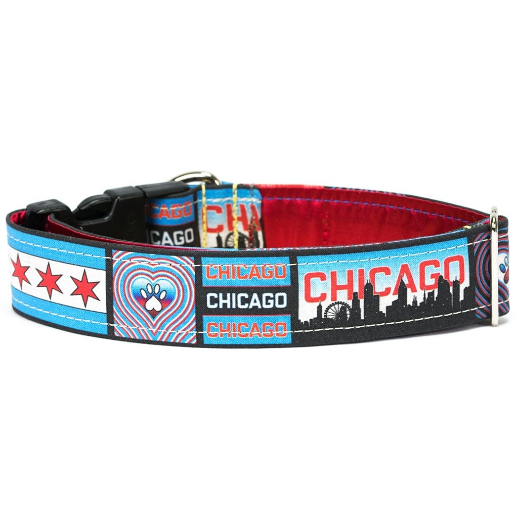 Chicago HomeDog