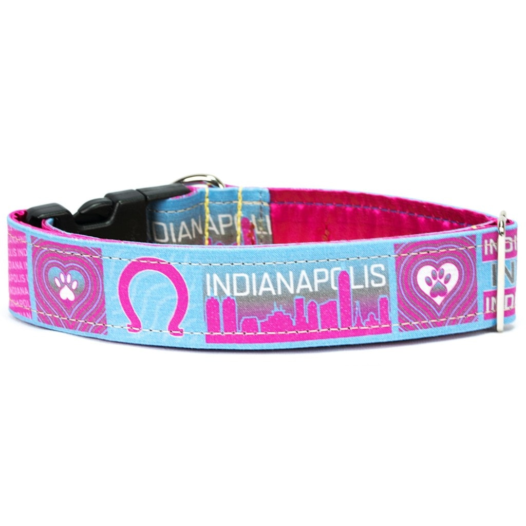 Indianapolis Pink HomeDog