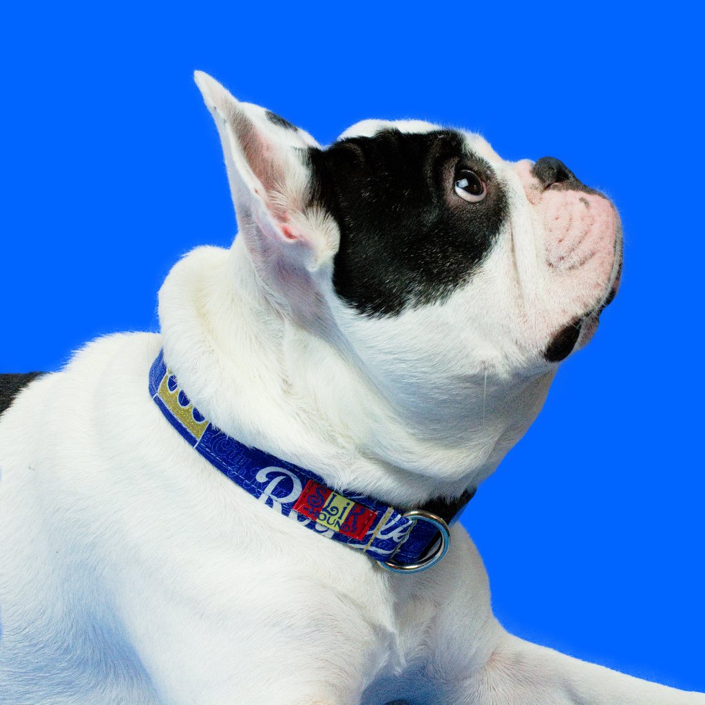 louis vuitton cat collar Archives - Royal Dog Collars - Handmade