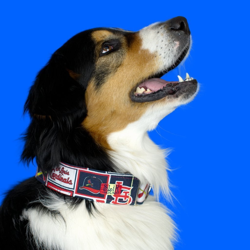 St. Louis Cardinals Dog Jersey, Dog Collar and Leashes