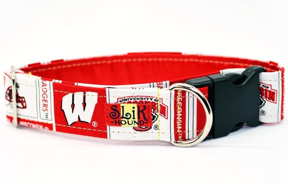 WISCONSIN BADGERS THEMED